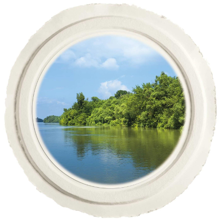 Lakeshore Reflections Biodegradable